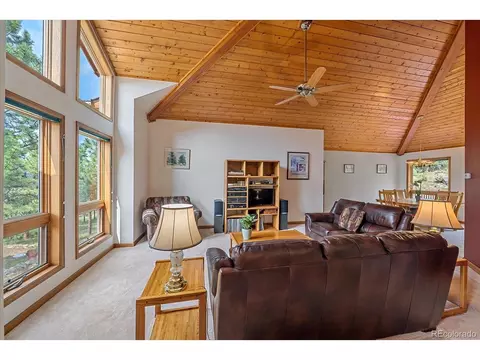 454 Bluebird Ln, Bailey, CO 80421 photo 9