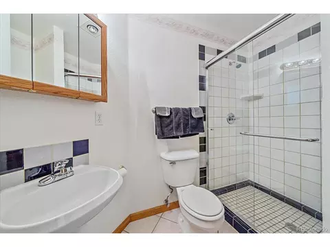 454 Bluebird Ln, Bailey, CO 80421 photo 36