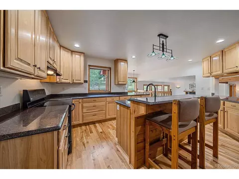 454 Bluebird Ln, Bailey, CO 80421 photo 14