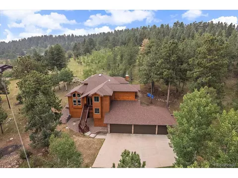 454 Bluebird Ln, Bailey, CO 80421 photo 4