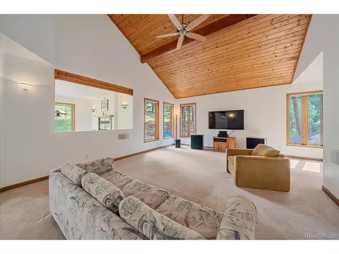 454 Bluebird Ln, Bailey, CO 80421 photo 21