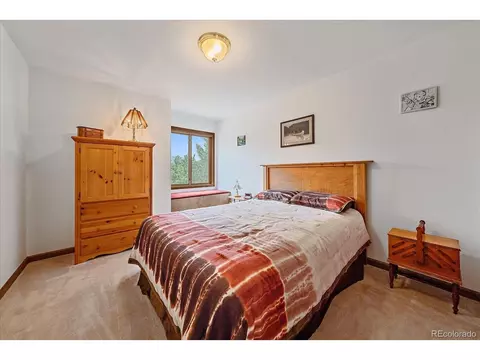 454 Bluebird Ln, Bailey, CO 80421 photo 23