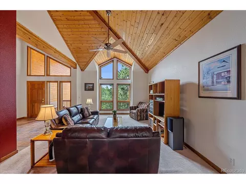 454 Bluebird Ln, Bailey, CO 80421 photo 10
