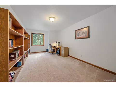 454 Bluebird Ln, Bailey, CO 80421 photo 32