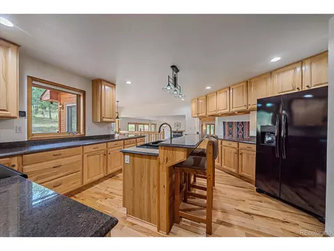 454 Bluebird Ln, Bailey, CO 80421 photo 13