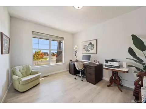2116 Gather Ct, Windsor, CO 80550 photo 5