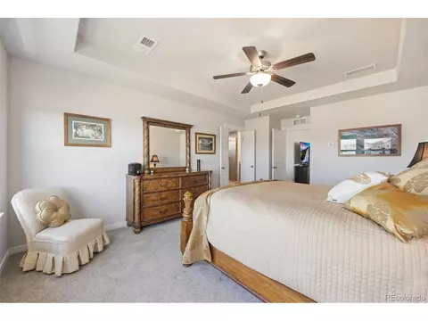 2116 Gather Ct, Windsor, CO 80550 photo 20