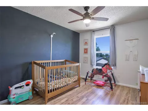 11004 Eudora Cir, Thornton, CO 80233 photo 21