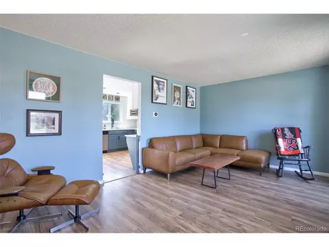 11004 Eudora Cir, Thornton, CO 80233 photo 14