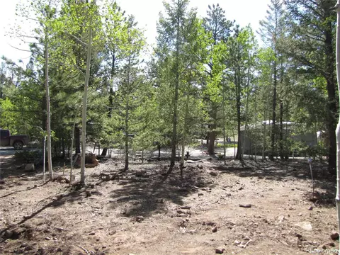 77 Pullman Loop, Hartsel, CO 80449