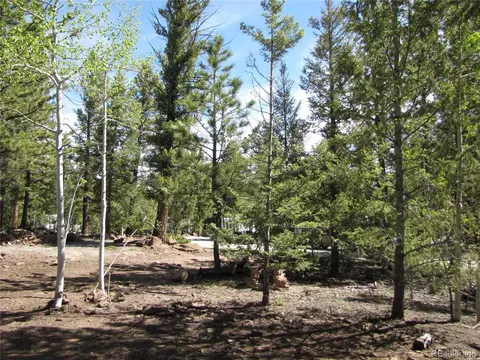 77 Pullman Loop, Hartsel, CO 80449 photo 5