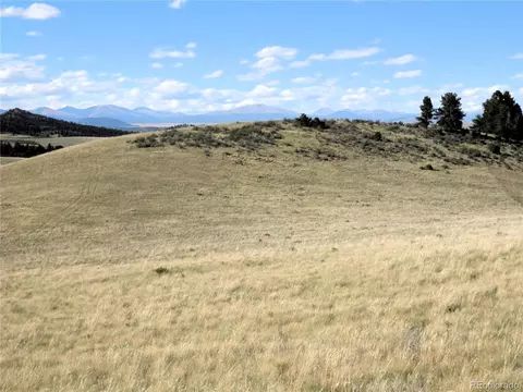 197 Stacker Dr, Hartsel, CO 80449 photo 9