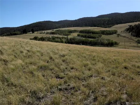 197 Stacker Dr, Hartsel, CO 80449 photo 15