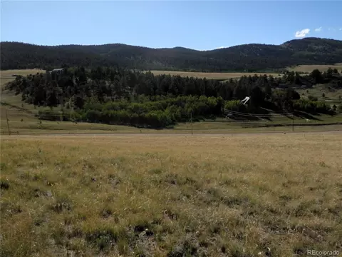 197 Stacker Dr, Hartsel, CO 80449 photo 13