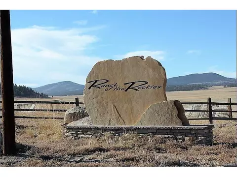 197 Stacker Dr, Hartsel, CO 80449 photo 23