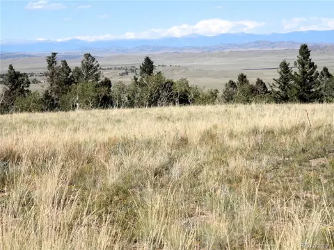 197 Stacker Dr, Hartsel, CO 80449 photo 7