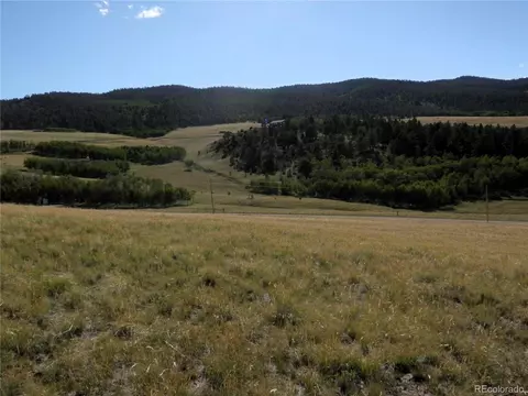 197 Stacker Dr, Hartsel, CO 80449 photo 14