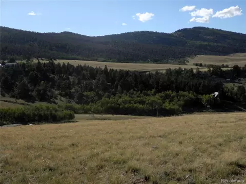 197 Stacker Dr, Hartsel, CO 80449 photo 20