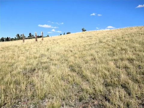 197 Stacker Dr, Hartsel, CO 80449 photo 17