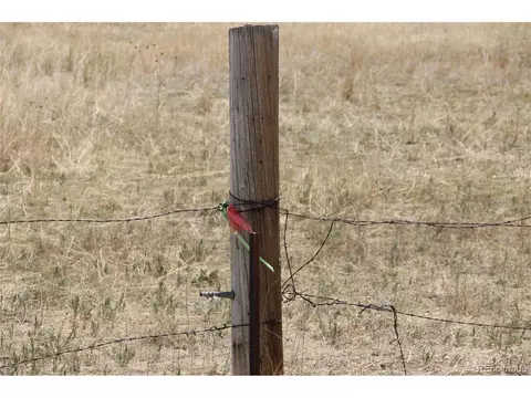 County Road 133, Simla, CO 80835 photo 3