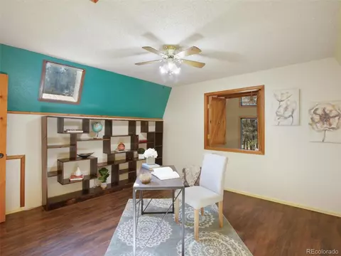 3762 County Road 51, Divide, CO 80814 photo 22