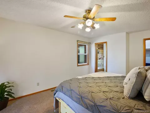 3762 County Road 51, Divide, CO 80814 photo 18