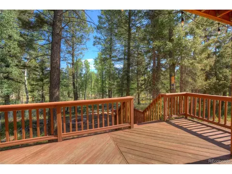 3762 County Road 51, Divide, CO 80814 photo 4