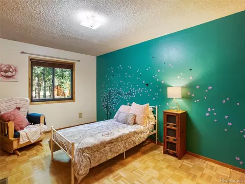 3762 County Road 51, Divide, CO 80814 photo 19