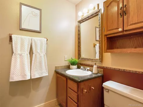 3762 County Road 51, Divide, CO 80814 photo 14