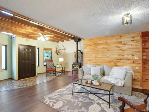 3762 County Road 51, Divide, CO 80814 photo 7
