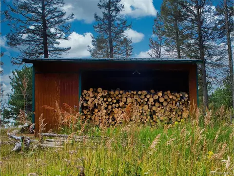 3762 County Road 51, Divide, CO 80814 photo 39