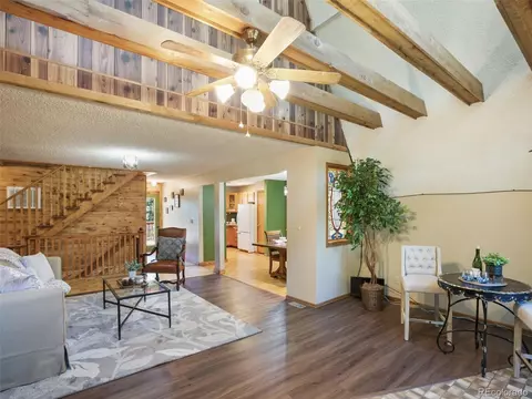 3762 County Road 51, Divide, CO 80814 photo 8