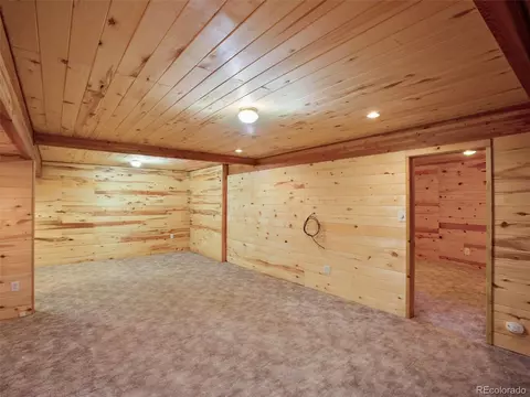3762 County Road 51, Divide, CO 80814 photo 27