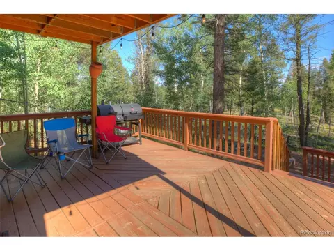 3762 County Road 51, Divide, CO 80814 photo 30
