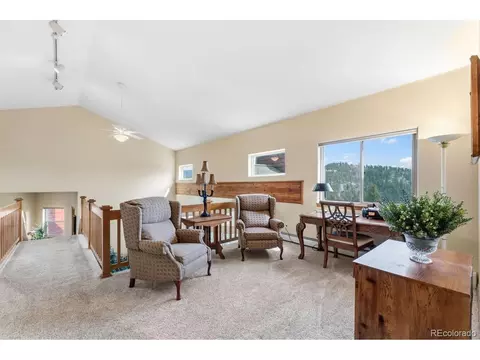 Other - 163 Old Corral Rd, Bailey, CO 80421 photo 7 of 9