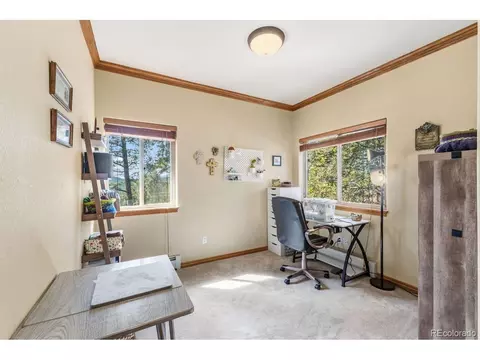 Other - 163 Old Corral Rd, Bailey, CO 80421 photo 3 of 9
