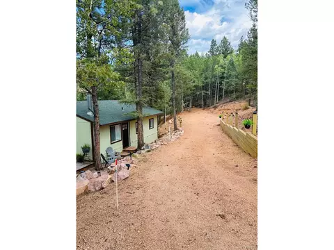 577 Horseshoe Dr, Divide, CO 80814 photo 20