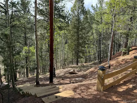 577 Horseshoe Dr, Divide, CO 80814 photo 23