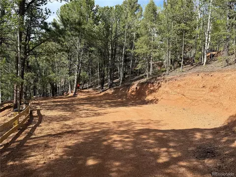 577 Horseshoe Dr, Divide, CO 80814 photo 24