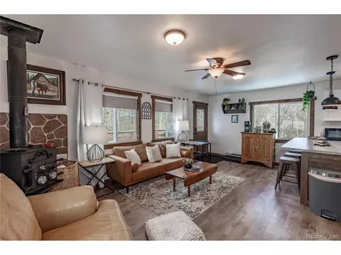 577 Horseshoe Dr, Divide, CO 80814 photo 2