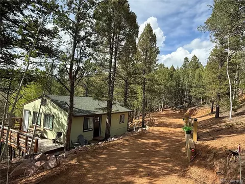 577 Horseshoe Dr, Divide, CO 80814 photo 28