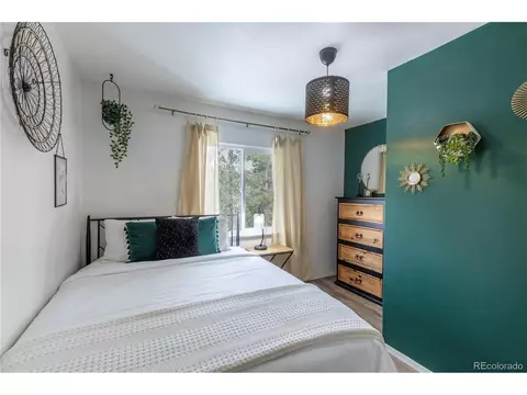 577 Horseshoe Dr, Divide, CO 80814 photo 8