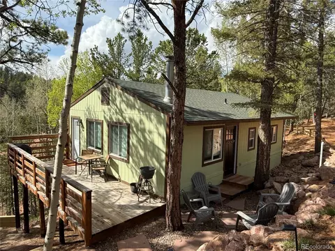 577 Horseshoe Dr, Divide, CO 80814 photo 29