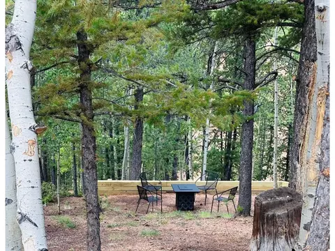 577 Horseshoe Dr, Divide, CO 80814 photo 17