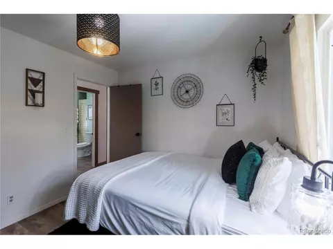 577 Horseshoe Dr, Divide, CO 80814 photo 9