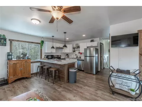 577 Horseshoe Dr, Divide, CO 80814 photo 5