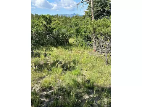 7333 Cameron Cir, Larkspur, CO 80118