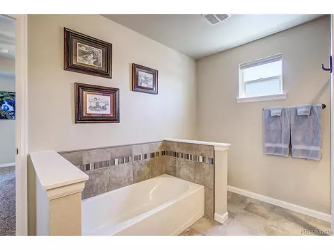 414 Audubon Blvd, Severance, CO 80550 photo 25