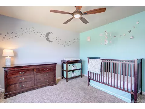 414 Audubon Blvd, Severance, CO 80550 photo 23