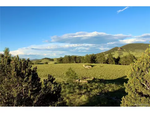 Aspen Meadows Ln, Guffey, CO 80820
